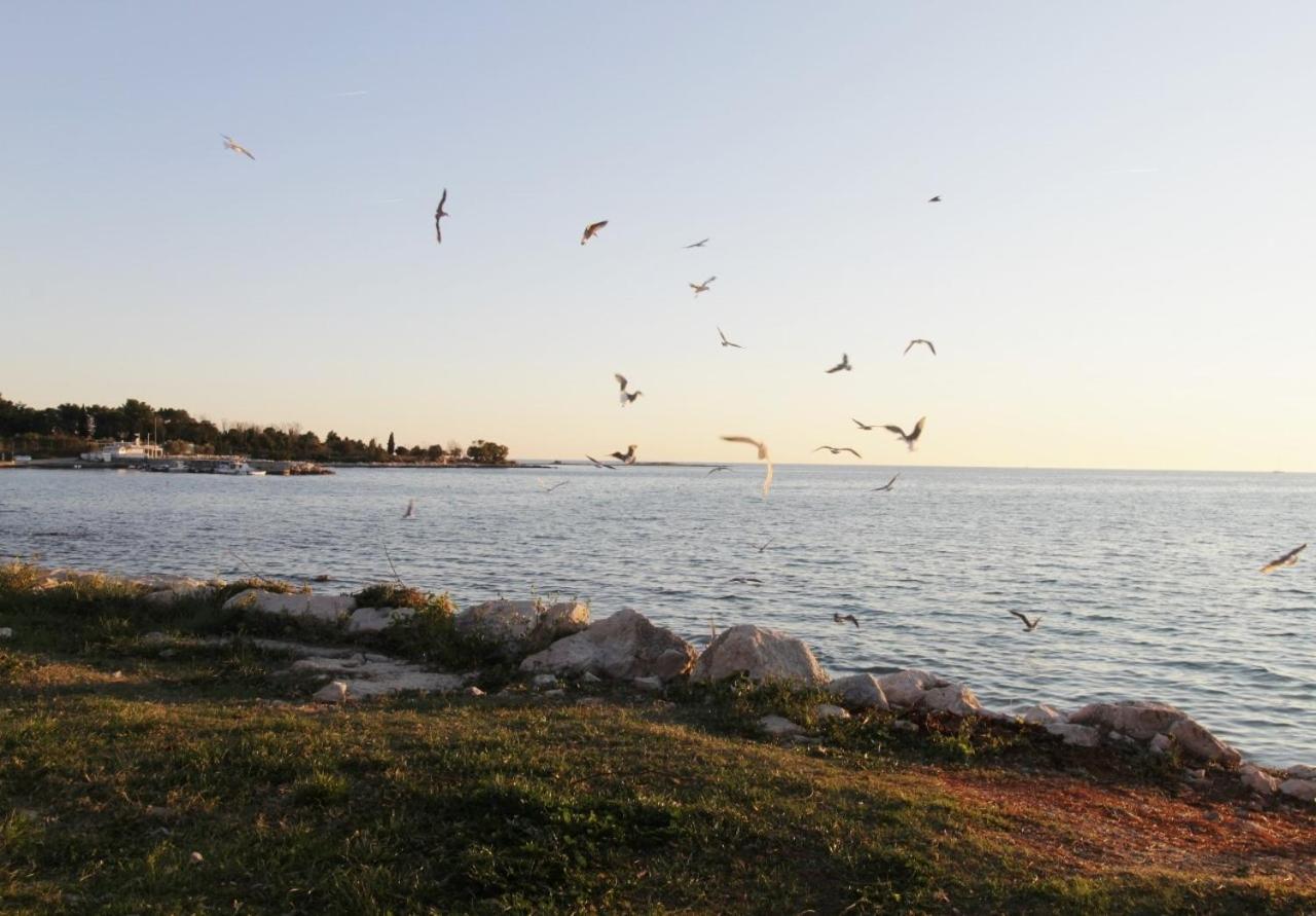 Apartments Zambratija With Sea View Exterior foto